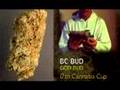 17th High Times Cannabis Cup Entries