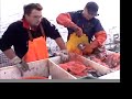 Lobstering in Vinalhaven Maine Lobstering in Vinalhaven Maine