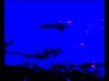 krill.minima, Nautica, Music by Marsen Jules krill.minima, Nautica, Music by Marsen Jules