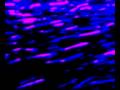 krill.minima, Nautica, Music by Marsen Jules