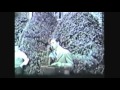Boyish - Waiting in Summer