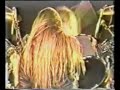 Guns n\