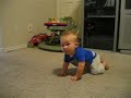 Baby Wellington Crawling