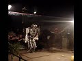 The Headless Batsman