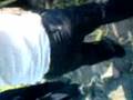 videos de monky 2