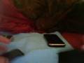 videos de Incase Slider review for iPhone
