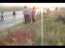 car accident car accident
