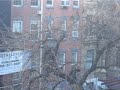 Hawk chomps on poor NYC pigeon Hawk chomps on poor NYC pigeon