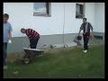 Dalmatinac s lopatom Dalmatinac s lopatom