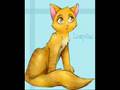 Hollypaw and Lionpaws Funny Stuff Show
