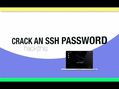 how to provide password in ssh command