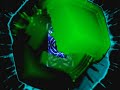 Floori.D.A. ~ Rabbit In The Moon (Handled Without Care Mix)
