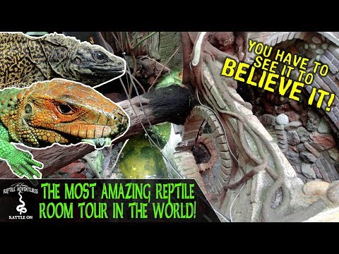YouTube reptile video