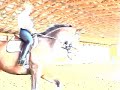 Liebeszauber Liebeszauber