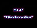 SLP - Biedronka SLP - Biedronka
