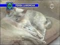 Eksplorasi Wisata Lamongan dalam 