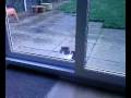 Walk throu glass Walk throu glass