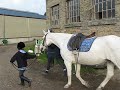 Benny leading a horse