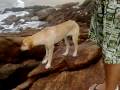 videos de Trindade  