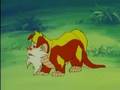 Thundercats