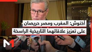 أخنوش: المغرب ومصر حريصان على تعزيز علاقاتهما التاريخية الراسخة