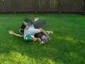 Training: Day 2 - The Backyard Bandits (Eps 5)