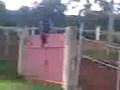 Vídeo016.3gp