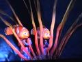 Finding Nemo The Musical Part 1