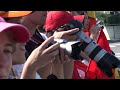 2009 F1 SUZUKA マーク・ウェーバー＆ロバート・クビサ