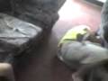videos de kelvin loko