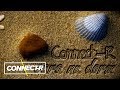 Screenshot din videoclipul lui RATUSCA_CEA_URATA