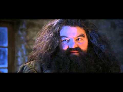 VAGÍNY - Pozor, pozor do domu Dursleyových přichází prostitutka Hagrid :DDD.
