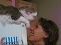 The Proper Care & Grooming of Humans