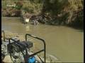 videos de Peces continentales Andalucía