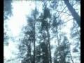 Просмотр видео
