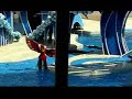 Dolphin show Dolphin show