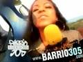 Voltio - Chulin Culin Chunfly