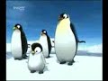 lol2 lol2