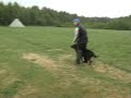 nala.wmv nala.wmv