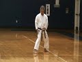 Traditional Karate Masters Series 4