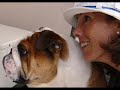 La Favola dei Bulldog