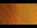 Apokalypsa DVD Trailer