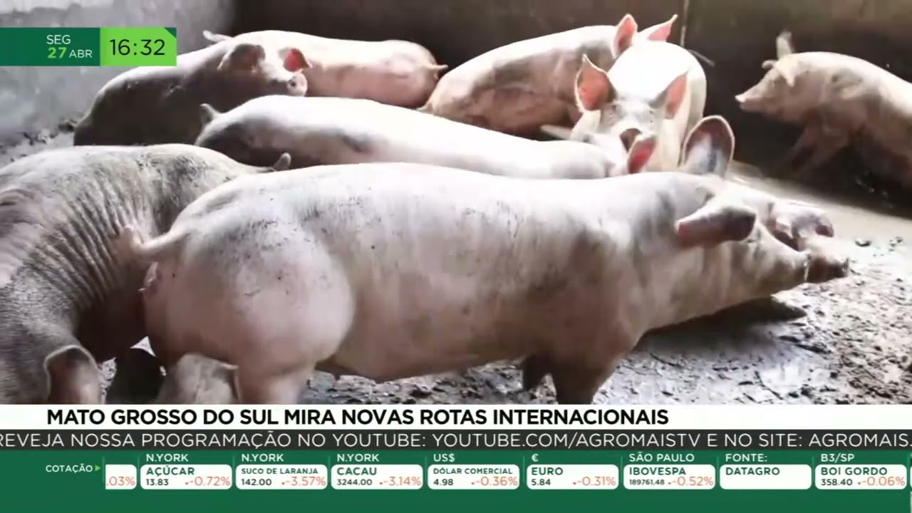 Mato Grosso do Sul mira novas rotas internacionais