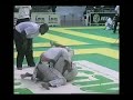 RICARDO VIEIRA Brazilian Jiu-Jitsu Black Belt Fight Video #4