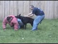 Dog Bites in Slow Motion www.k9-1.com Dog Bites in Slow Motion www.k9-1.com