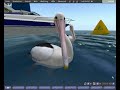 Sculpted Pelicans for Second Life�