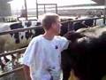 2008 Alta-California AI Class at CVC High School Part 5 of 9