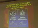 Bioeconomia dei rifiuti : Gentilini - Parte 2