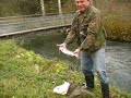 Fliegenfischer-Einmaleins.MOV