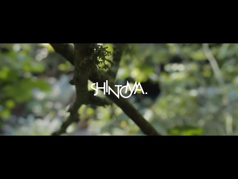Worldwide - Shintoma